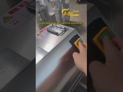 자동 채소 고구마 감자 구마 양파 절단 기계 상업용 소형